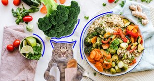 Технологии, которые нас кормят