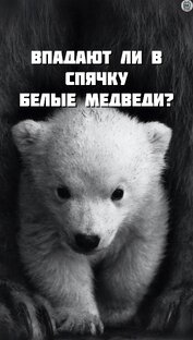Животные