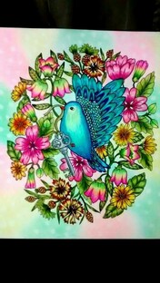 Раскраски-антистресс🖌🎨