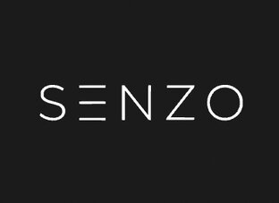 Обзор лучших кресел бренда SENZO