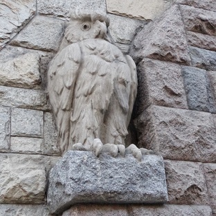 Совы в архитектуре Петербурга