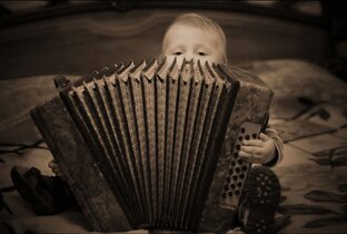 Про гармонь