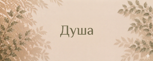 Душа