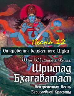 12. «Откровение блаженного Шуки»
