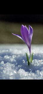 Экономическая ситуация . 