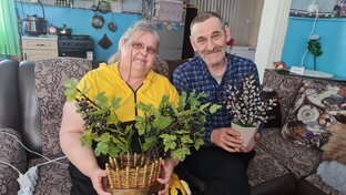 уроки и советы