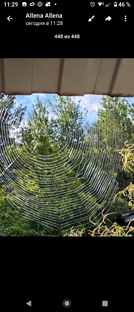 Садовые сезоны