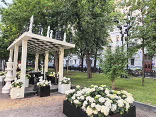Бульвары Москвы