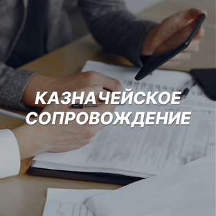 Казначейское сопровождение