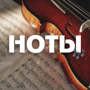 Ноты и Минуса🎶