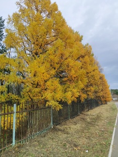 Походы и путешествия