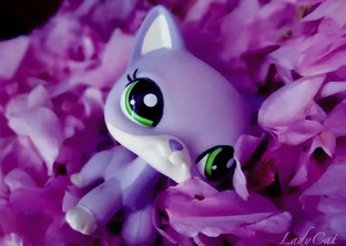 Распаковки петов и не только 🩷🎀🍥