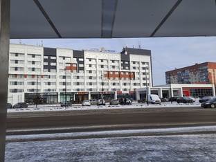 "Мои видео за 20 дней". День 11-й