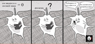 Про реснички и жгутики (ундулиподии)