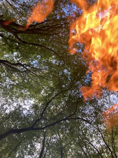 Родовой обряд