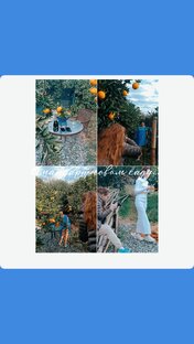 Беседы в мандариновом саду