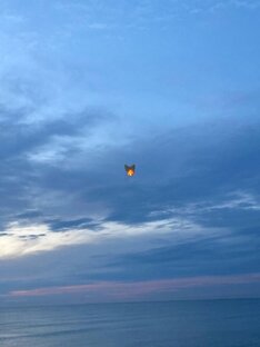 Морская подборка