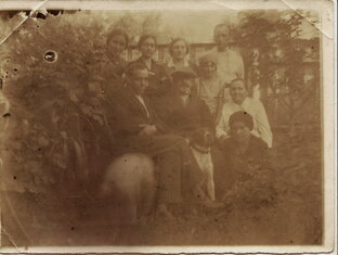Собаки до 1950 года