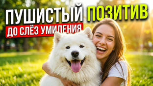Пушистый позитив 🐶