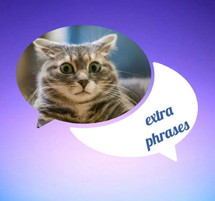 Идиомы на английском языке 