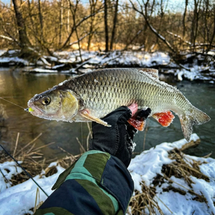 Рыбалка весной
