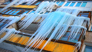 Скандалы и курьёзы России