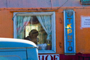 Истории из жизни