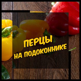 Про перцы🌶️