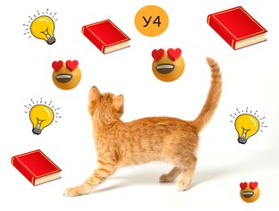 Логические задачи.