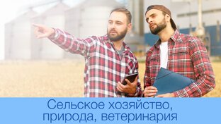 Сельское хозяйство