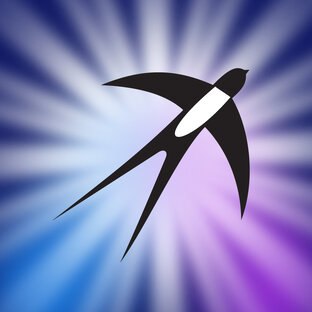 О жизни директолога