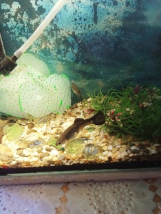 подводный мир