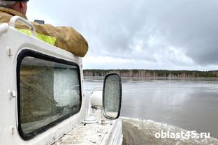 Наводнение 2024 в Курганской области