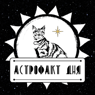 Астрокото-факты: ба-цзы