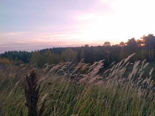 Истории из жизни