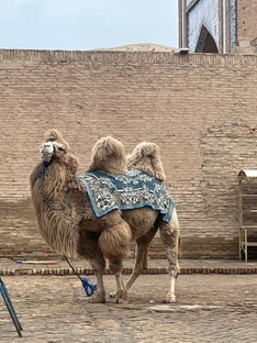 Узбекистан