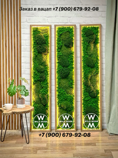 Панно из мха прямоугольные