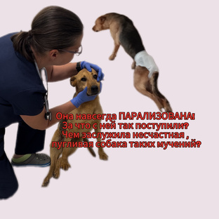 Джесси просит о помощи!