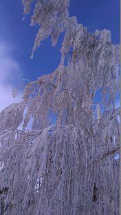 Новости региона