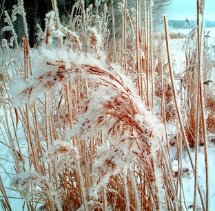 Фотоэтюды дилетанта.