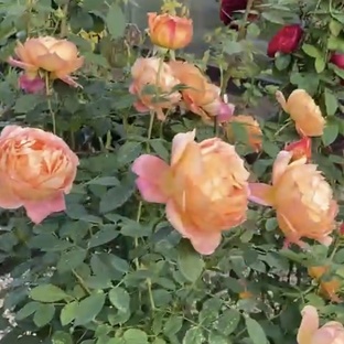 День за днем