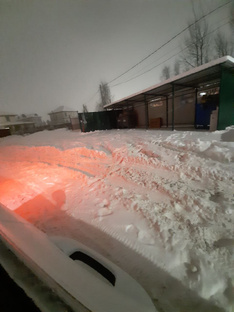 Актуальное для зимы