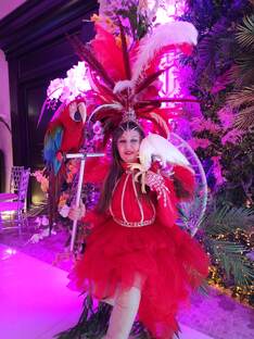 Шоу попугаев