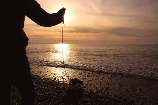 Эстетика|Фотографии