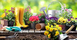 Садоводство