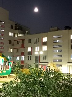 Претензии соседей