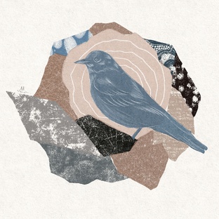 Серия "Animalia"