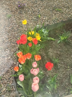 Для настроения. 