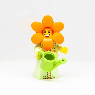  LEGO Коллекция