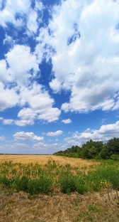 ДОРОГА В АРХЫЗ⛰️